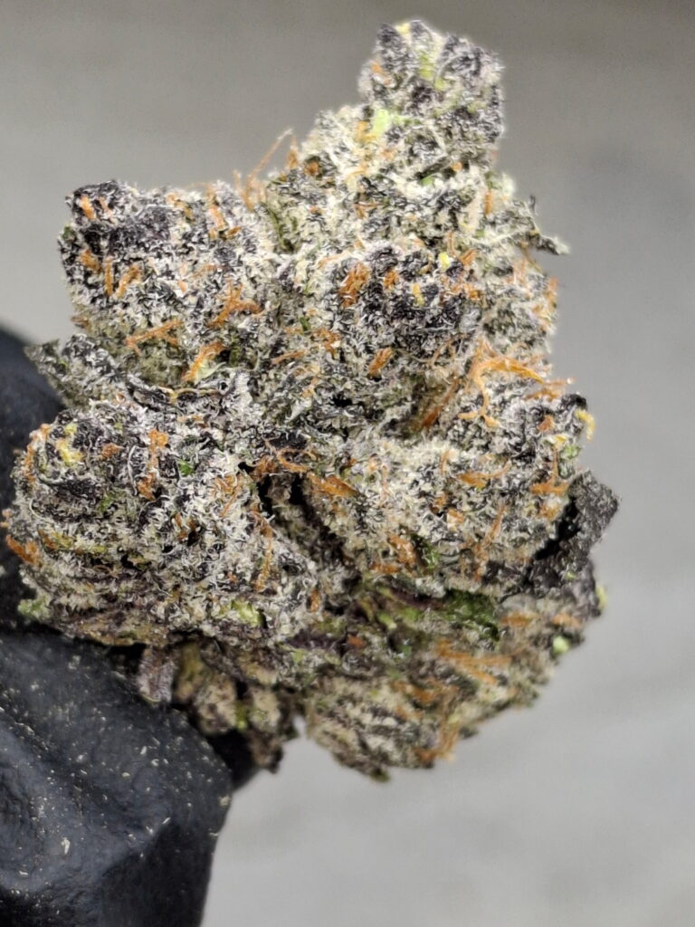 TROPICANA