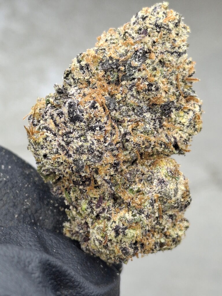BUBBLEGUM
