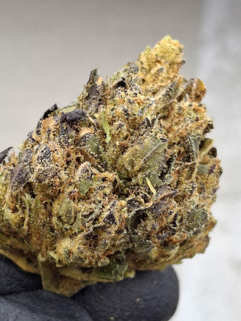 SWEET N SOUR