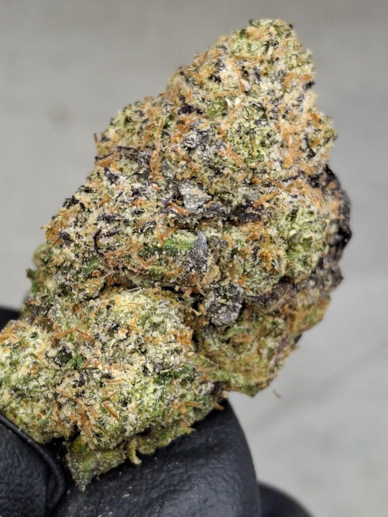LIMON KUSH