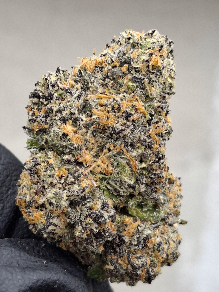 DRAGONS BREATH