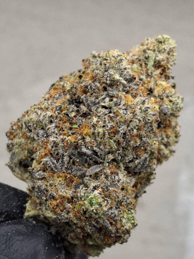 GIRL SCOUT COOKIES