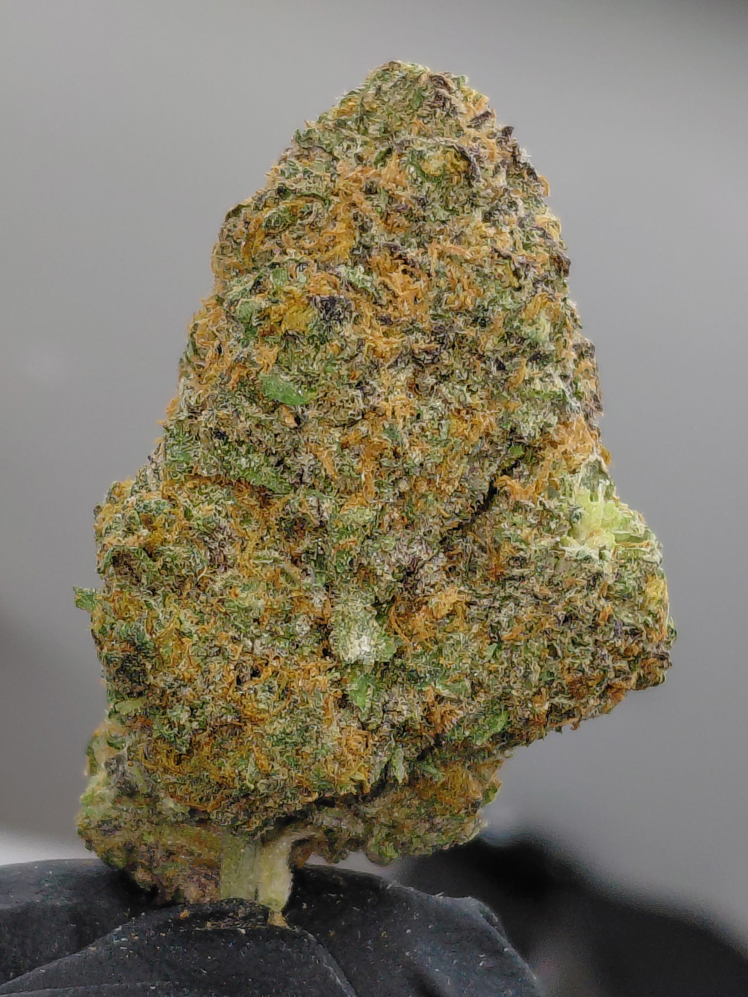 CHOCOLOPE (2)