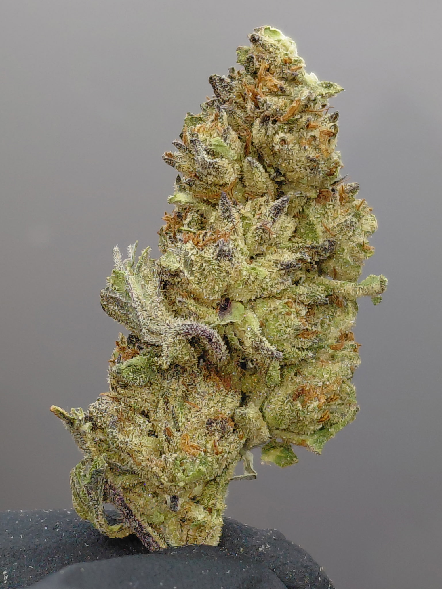 CRITICAL