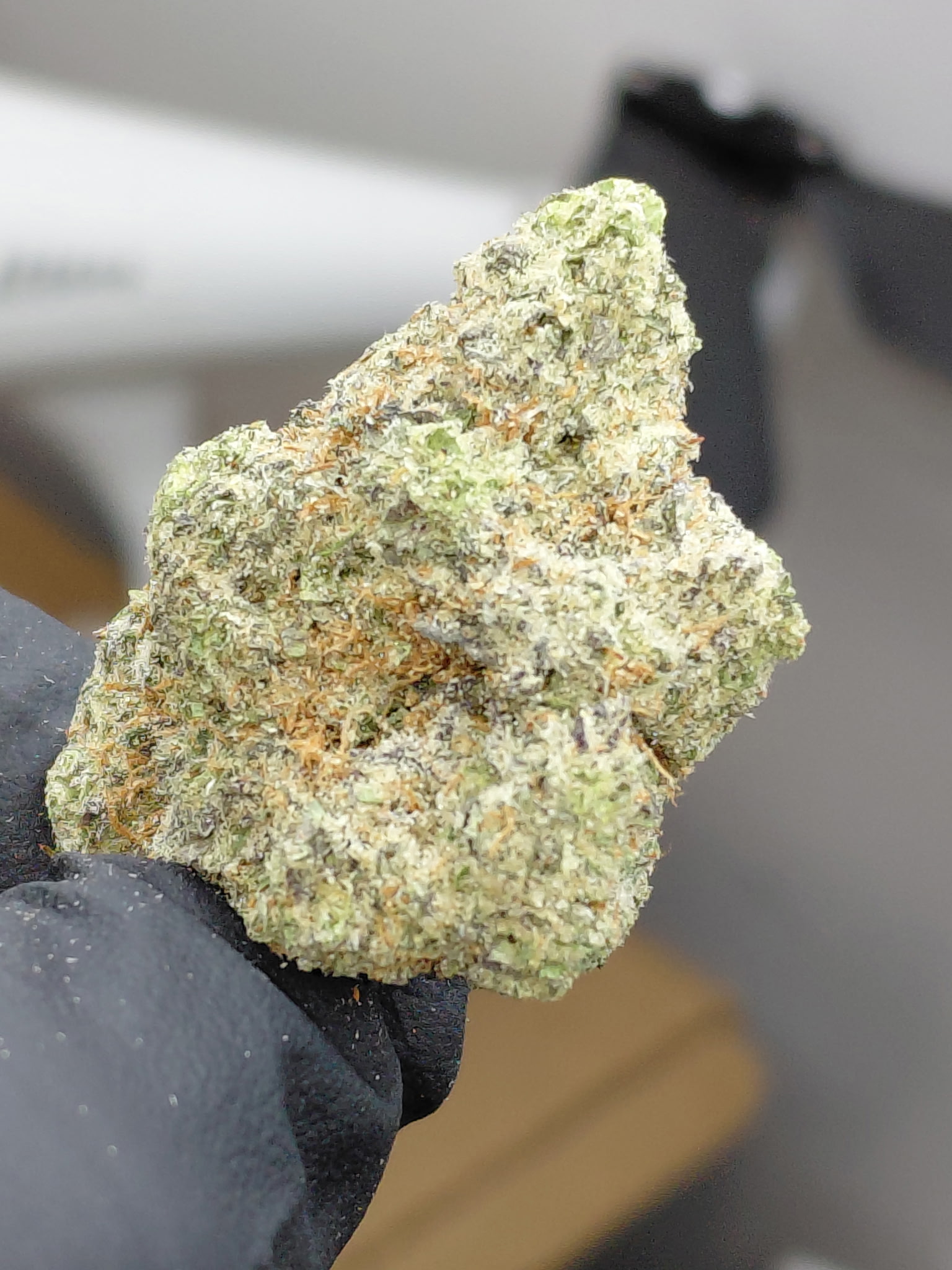 DONKEY BUTTER (2)