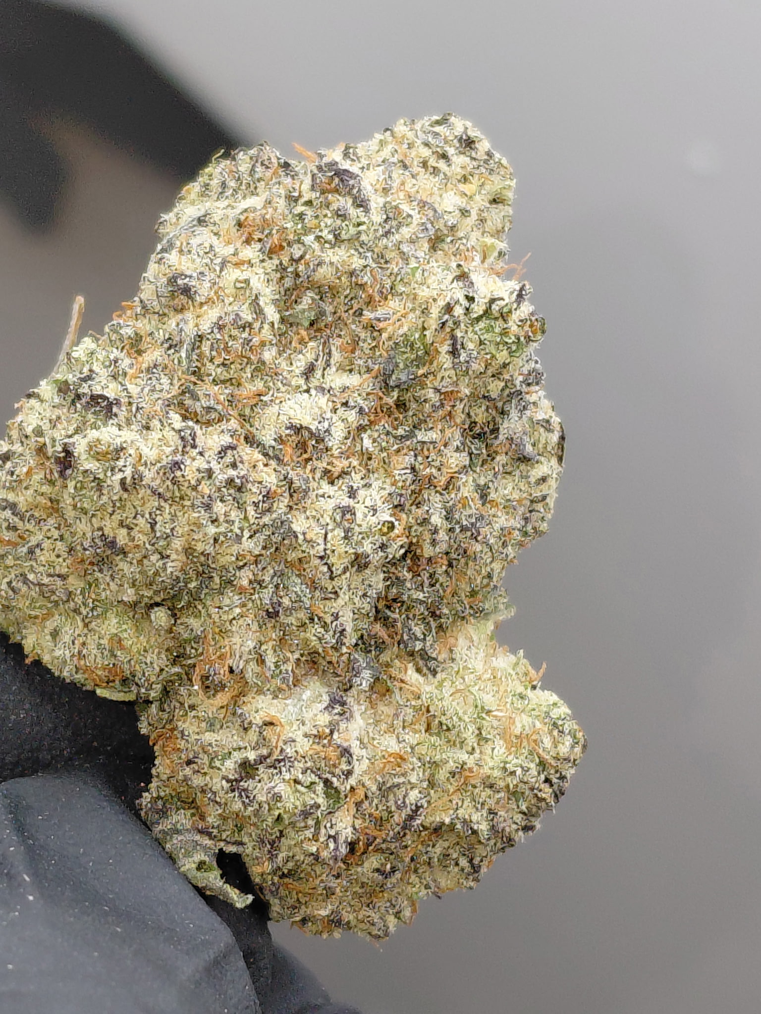 PURPLE GELATO