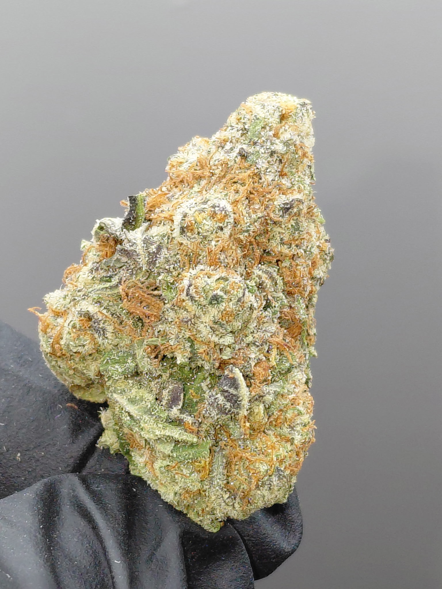 COSMIC CANDY