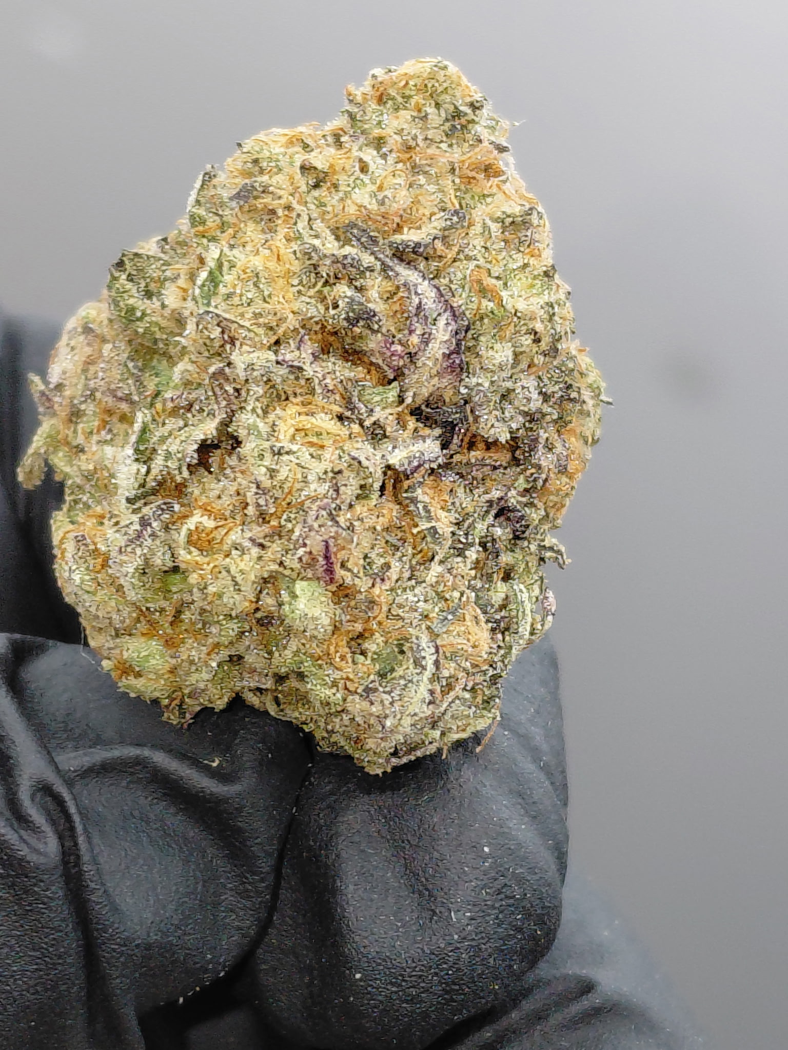 MENDO MINT