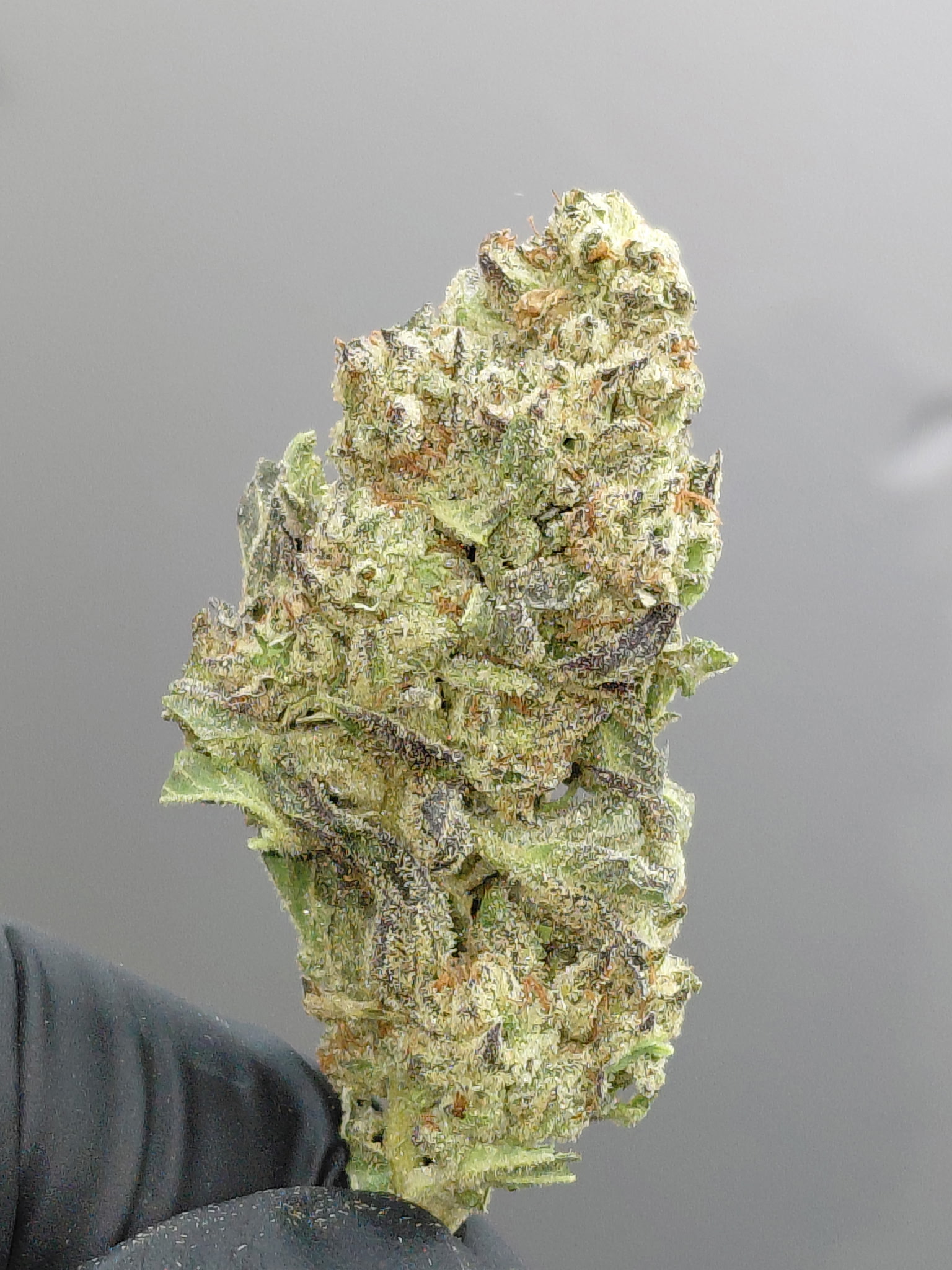 PLATINUM COOKIES