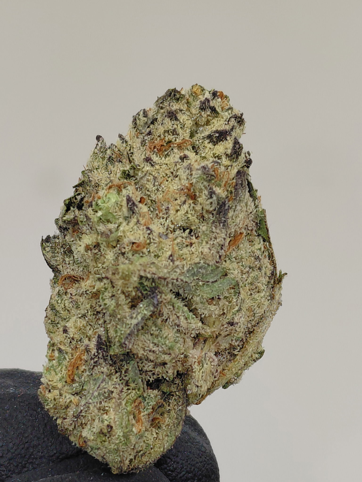 CRITICAL MIST
