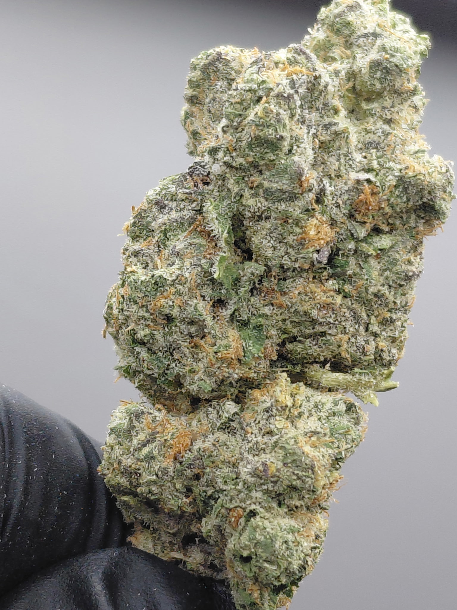 Fruit loops