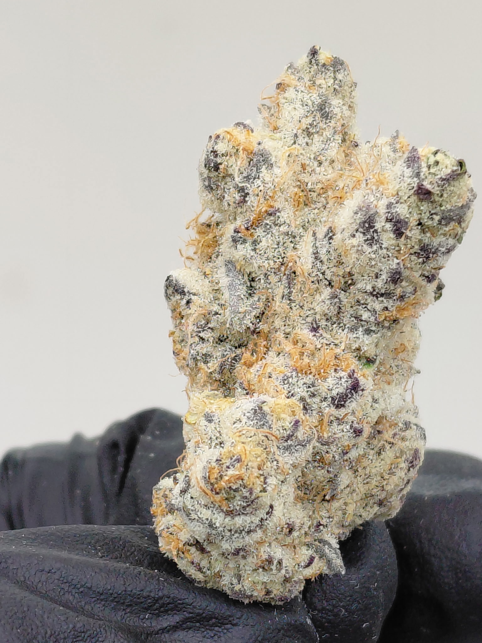 JUICY DROPS