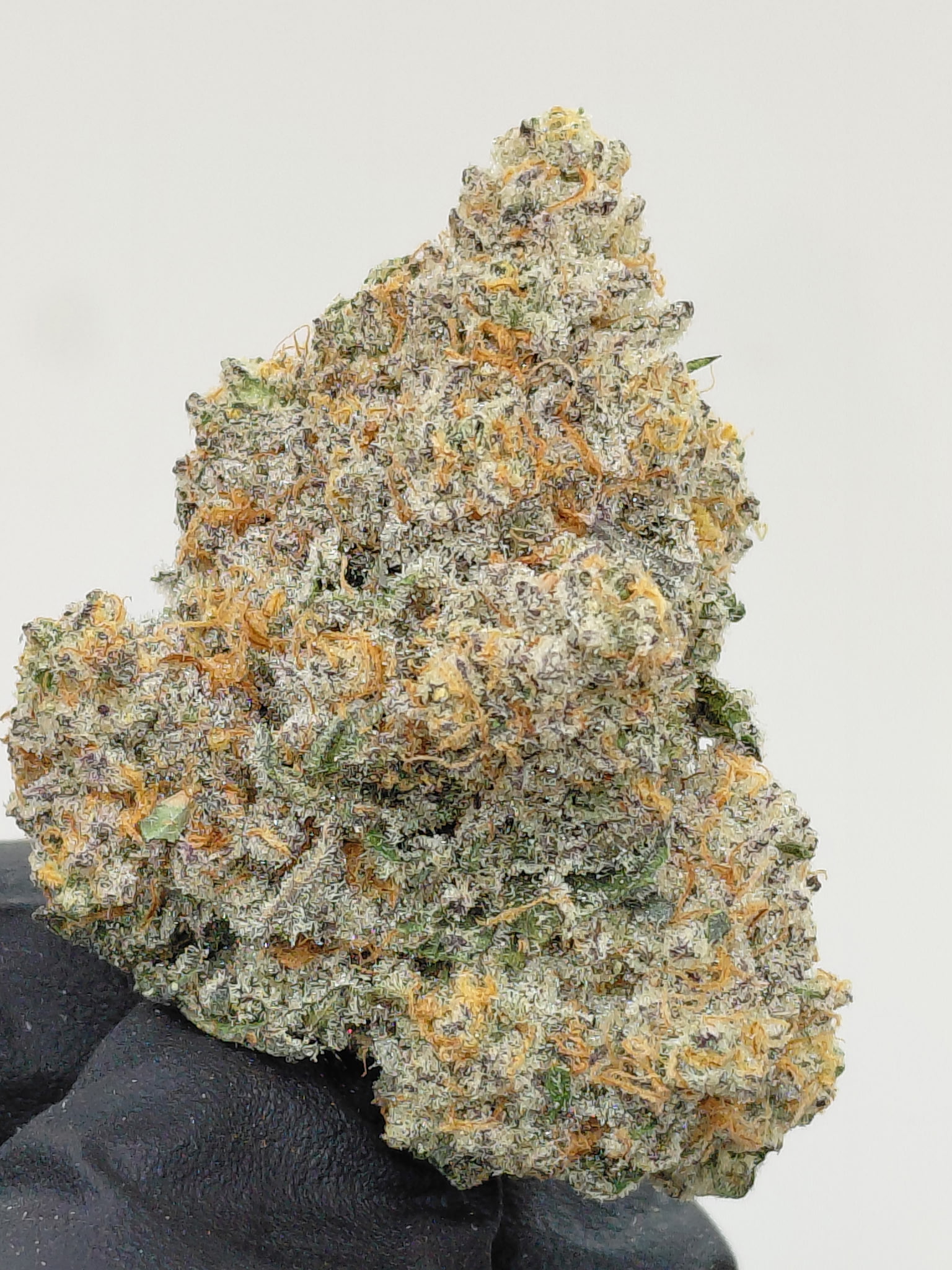 MERLIN TONIC