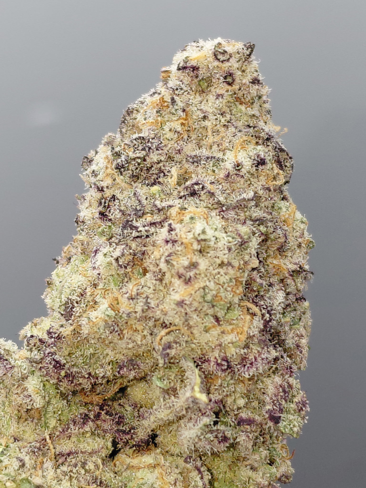 PURPLE COOKIES