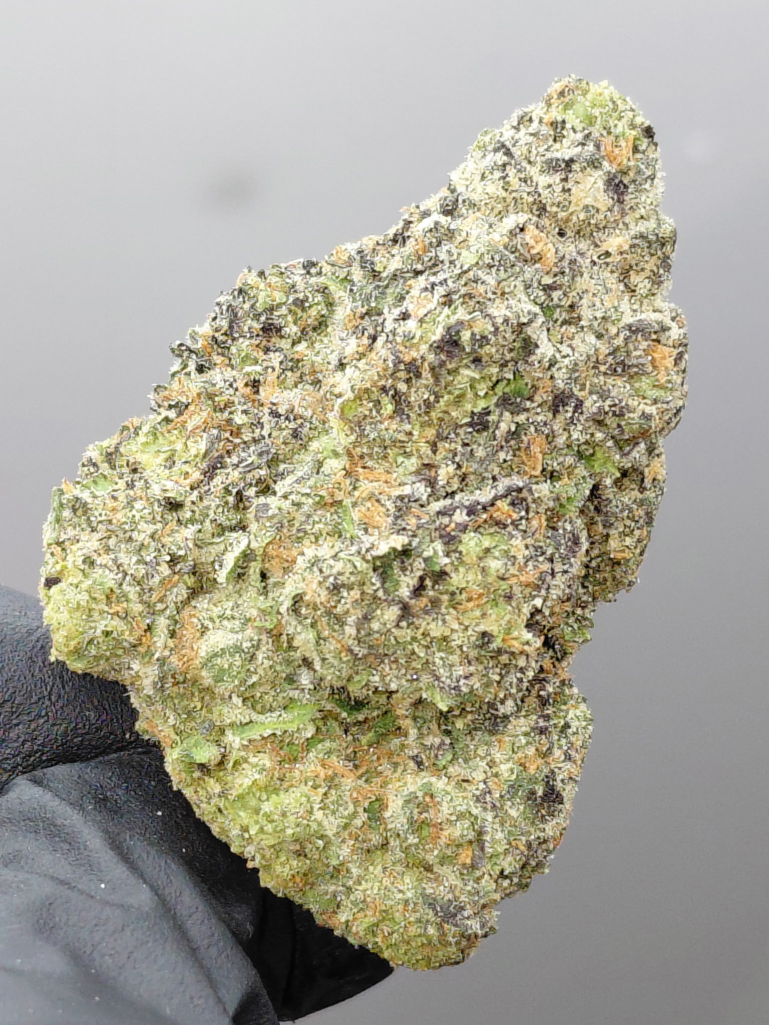 PURPLE POP