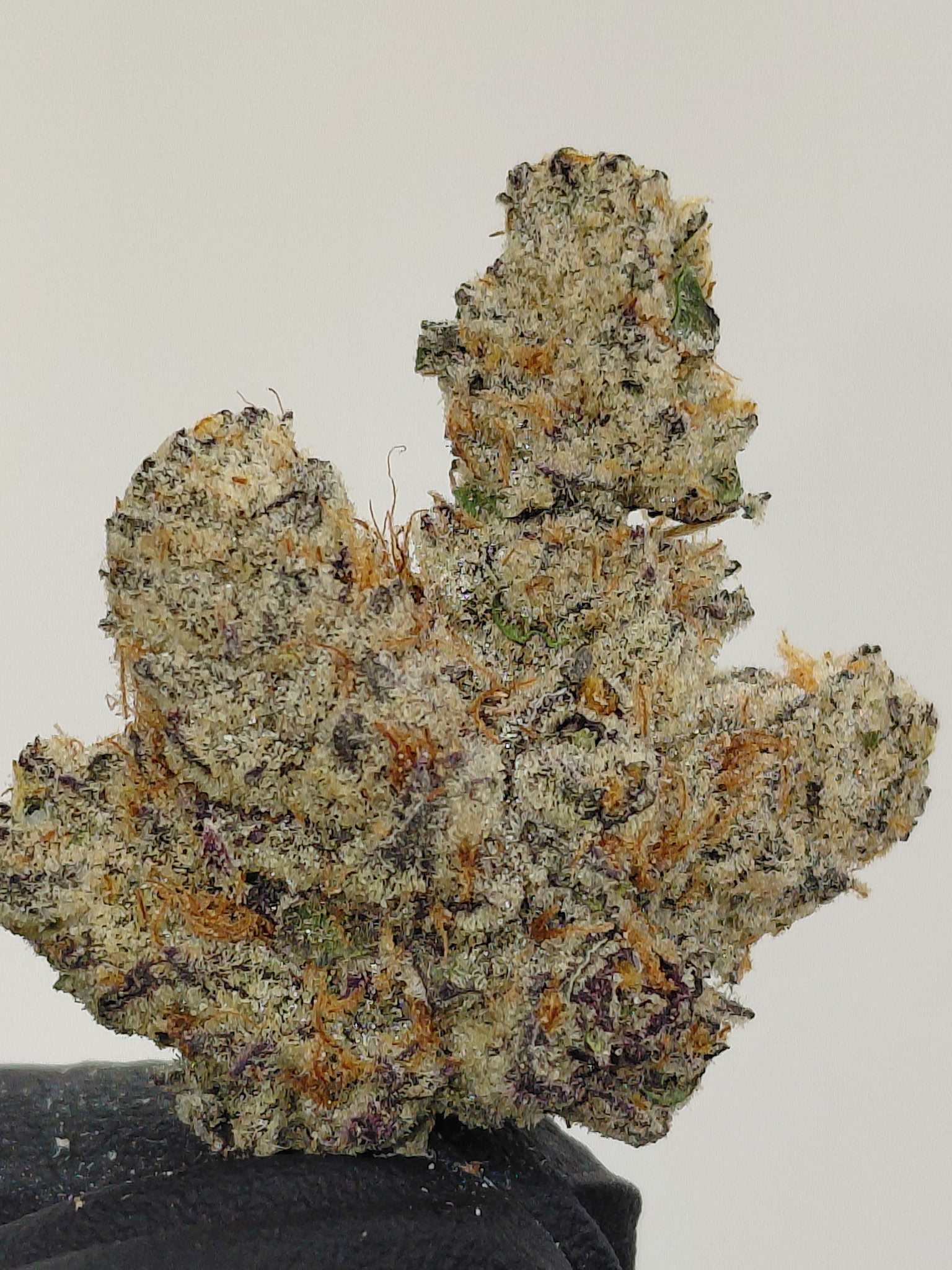 frozen gelato