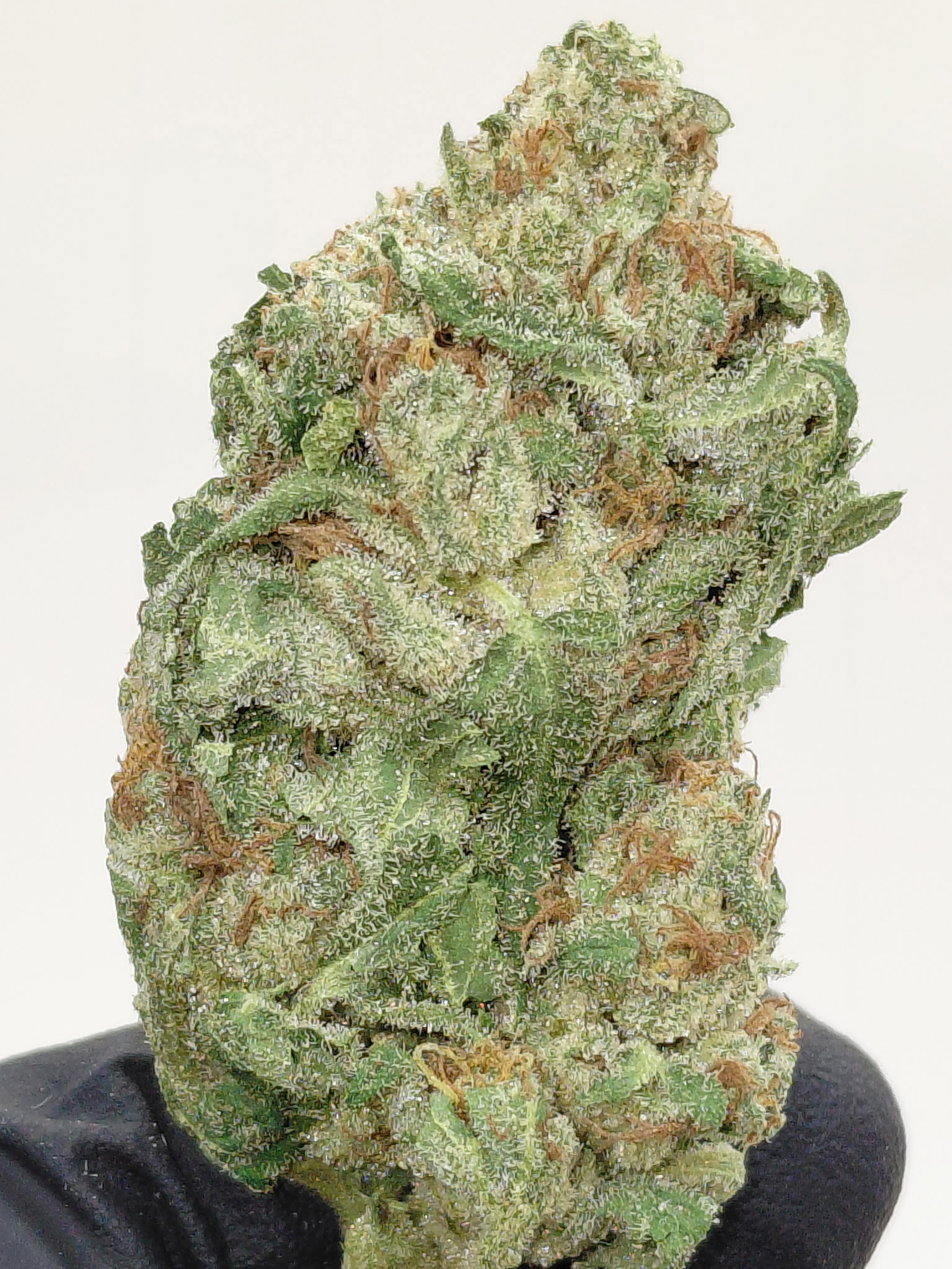 kosher kush