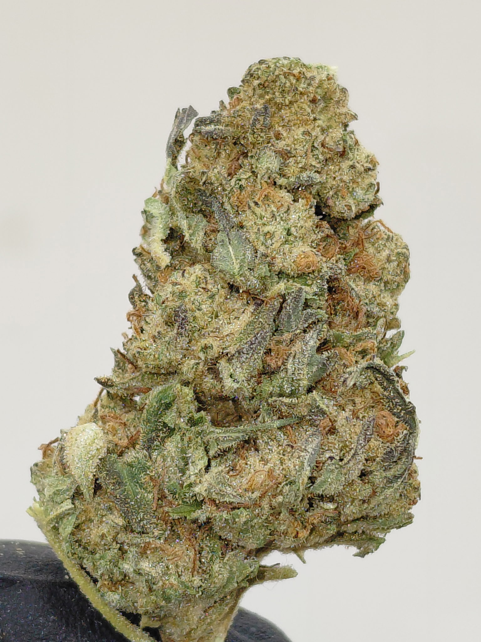 BLUEBERRY AFGOO